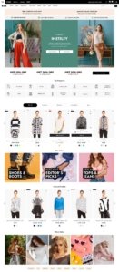 Ecommerce Website Development