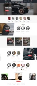Ecommerce Website Development